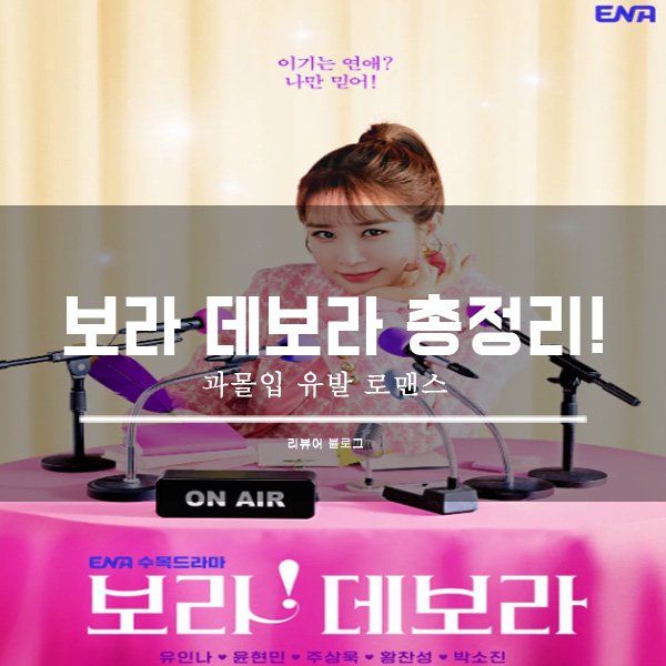  보라 데보라 총정리!