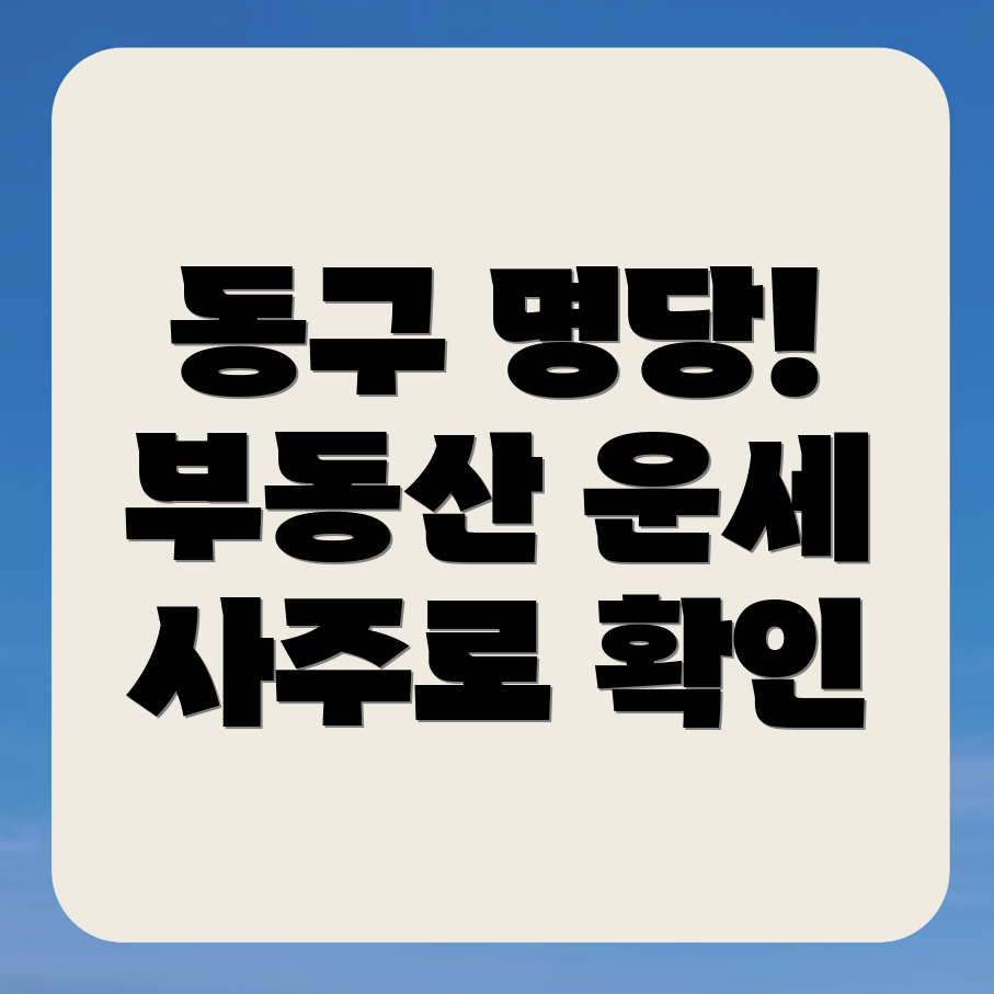 대구 동구 부동