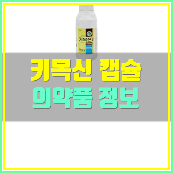  키목신캅셀 500 효능 복용법