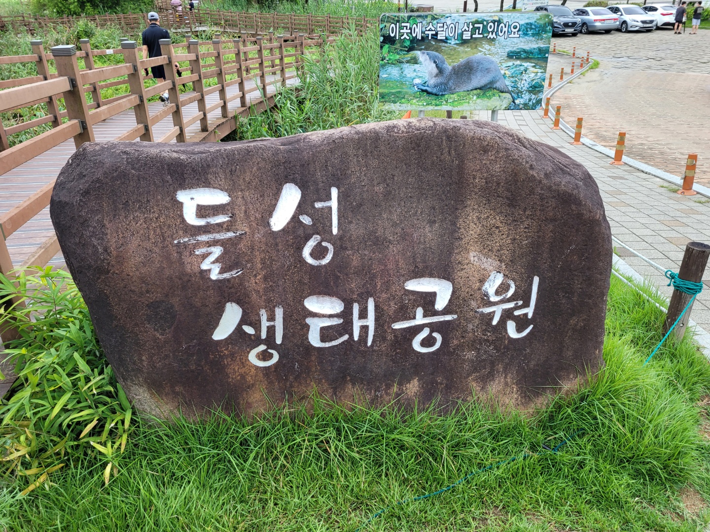  구미 가볼만 한곳 산책하기 좋은 들성생태공원(문성지) 걸어봤어요.