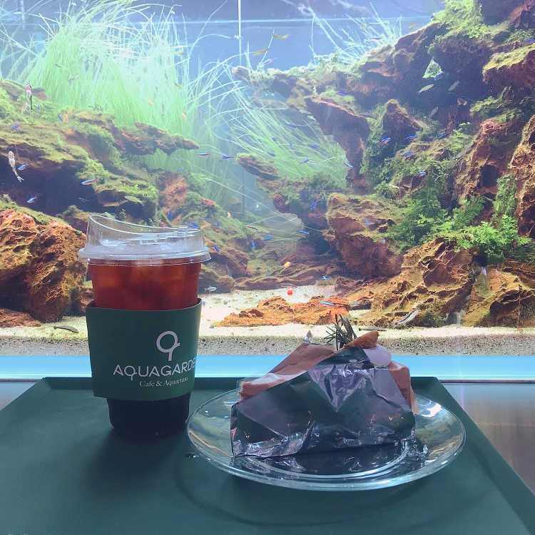  잠실 롯데월드몰 카페ㅣ아쿠아 가든 카페 (AQUA GARDEN CAFE)