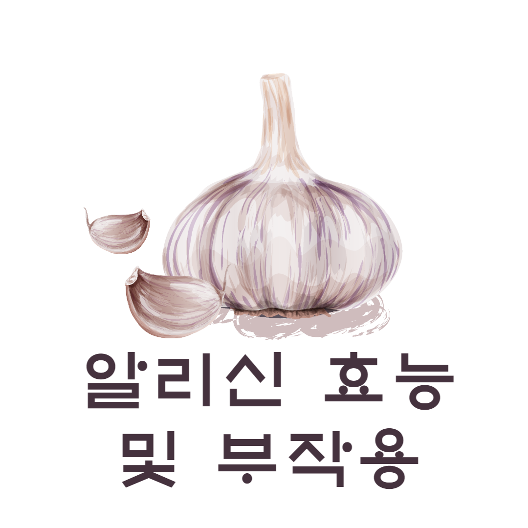 알리신 효능 및 부작용, 복용방법