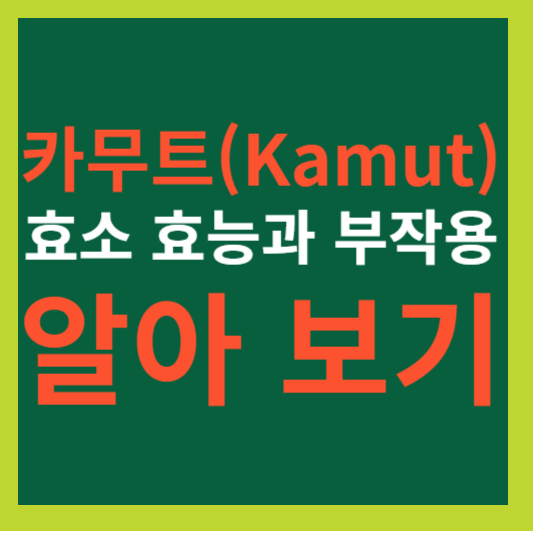 카무트(Kamut) 효소 효능과 부작용 알아 보기