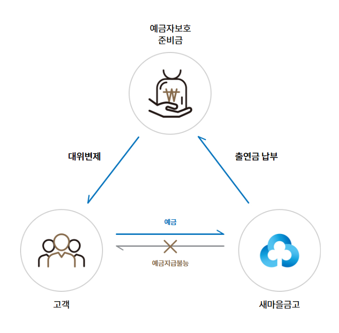 새마을금고부실