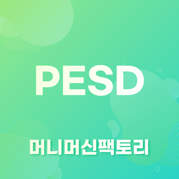 PESD 용어 설명 첫 화면
