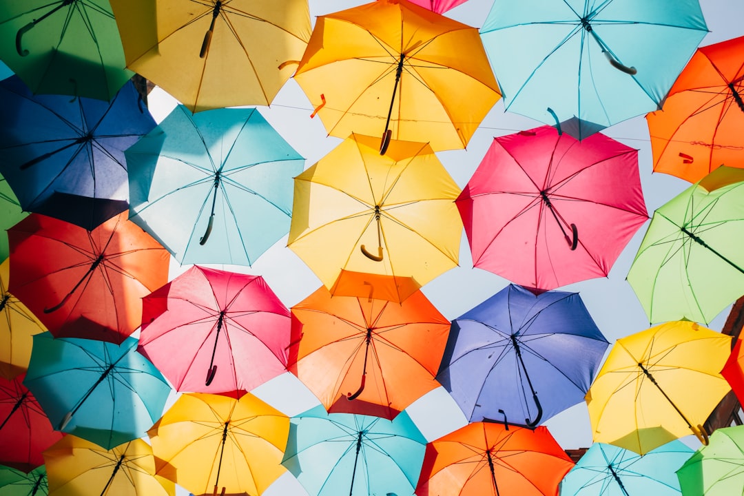 Umbrella.
