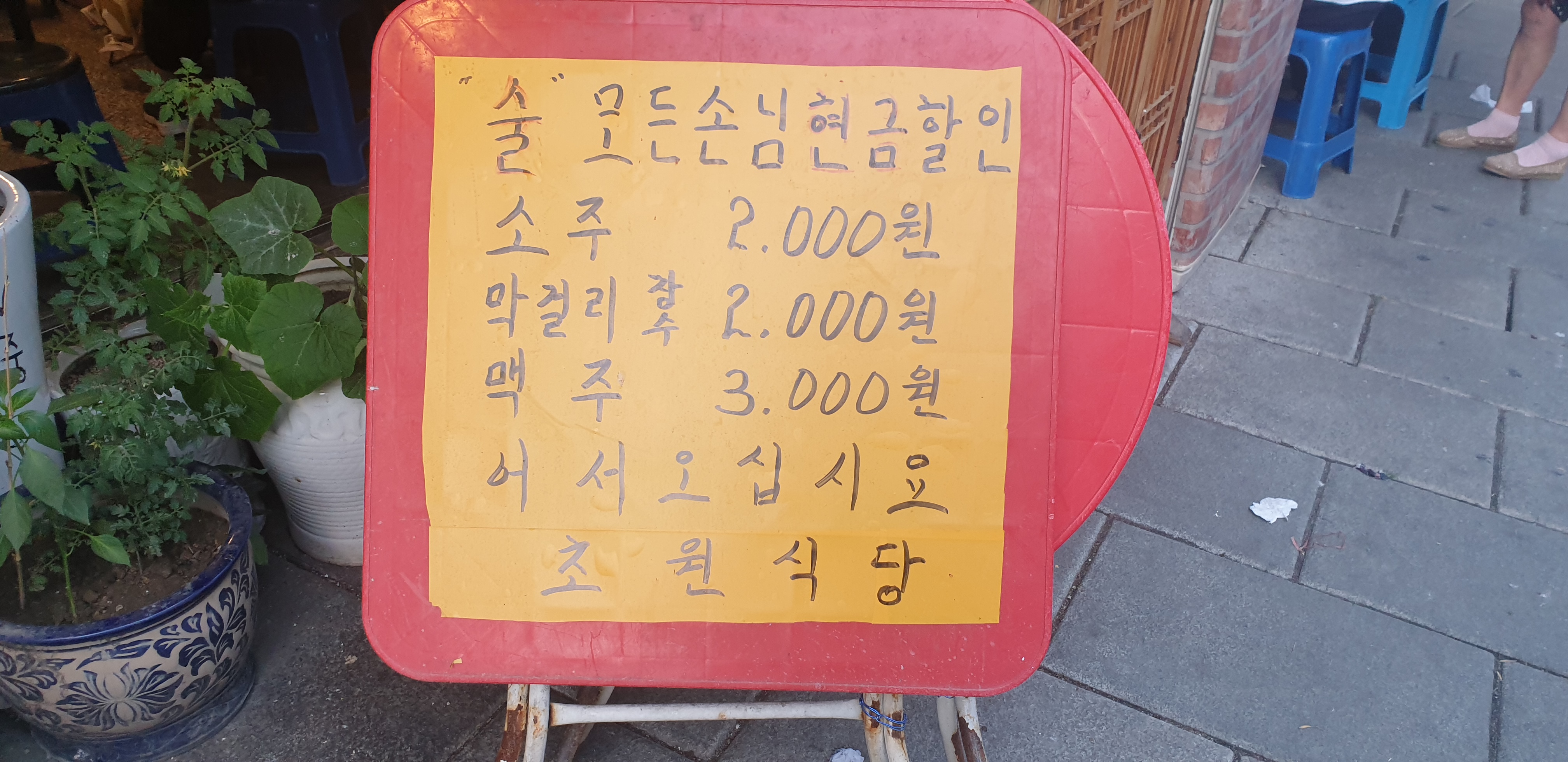  [종로3가] 초원식당 - 소주를 단돈 3,000원에 먹을 수 있는 맛집 & 술집 : 멍게,모듬전 짱 맛나 