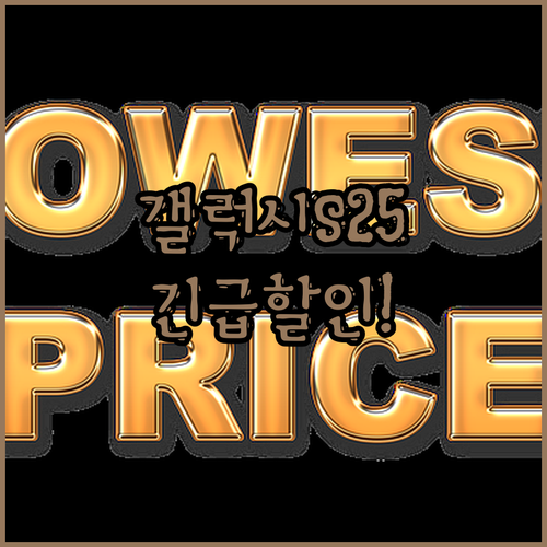 🎁 갤럭시 S25 자급제 SM-S93