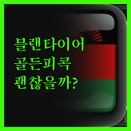 블랜타이어 숙소의 불편한 진실 골든 