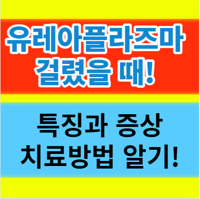  유레아플라즈마란? 주요 특징과 증상 치료방법에 대해서 알아보자