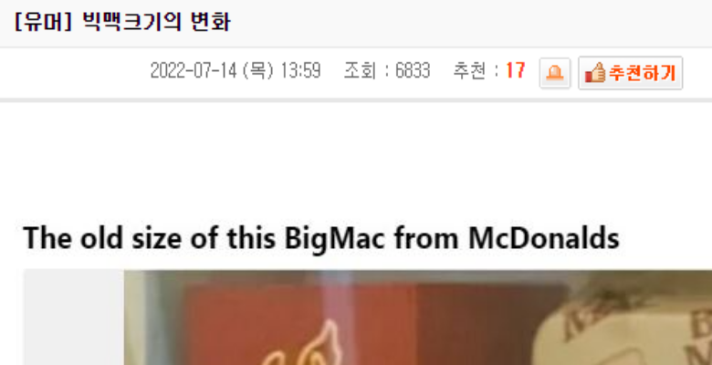  빅맥이 이름값 못하는 이유