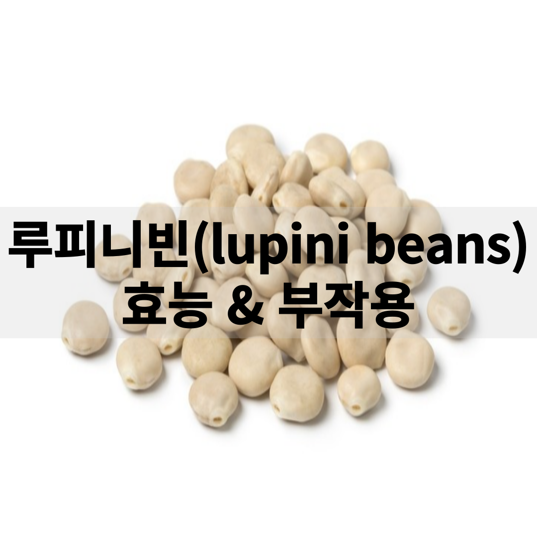 루피니빈(lupini beans) 효능 및 부작용, 섭취 방법