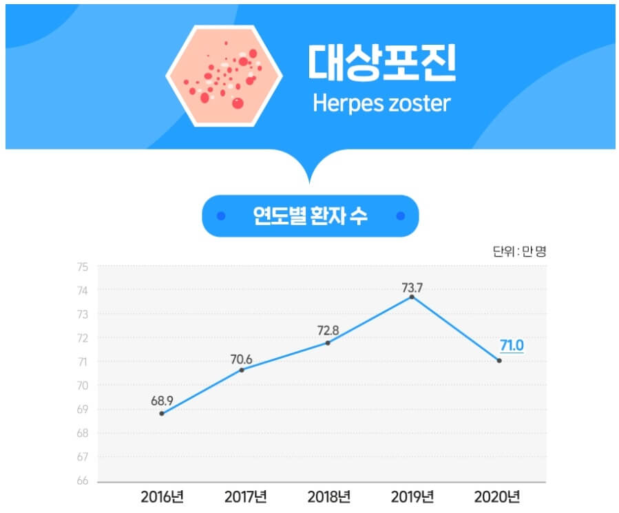 대상포진-연도-별-발생-수-그래프