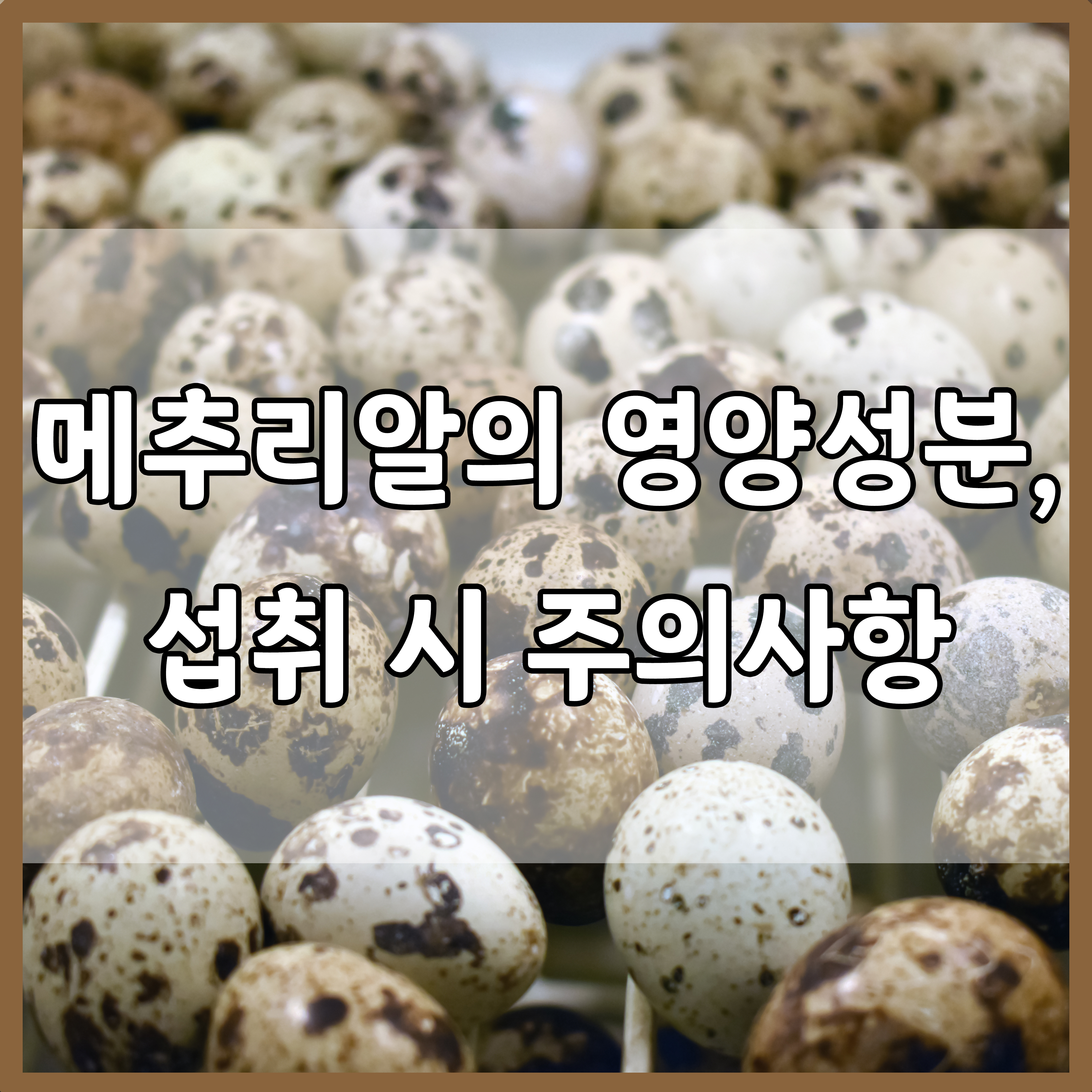  메추리알 : 영양성분, 섭취 시 주의사항, 메추리알 대 달걀