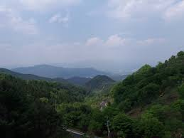 삼환 이미지