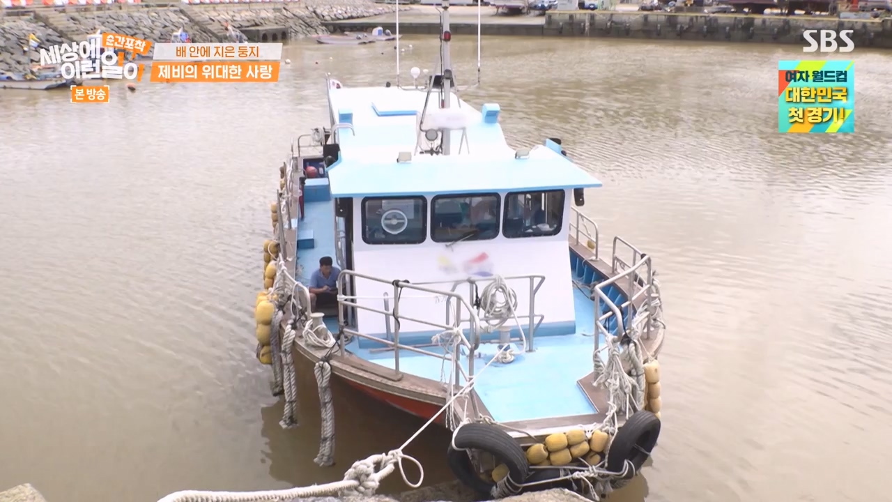 순간포착 세상에 이런일이.E1238.230723p-NEXT.mp4_20230724_205447.797.jpg