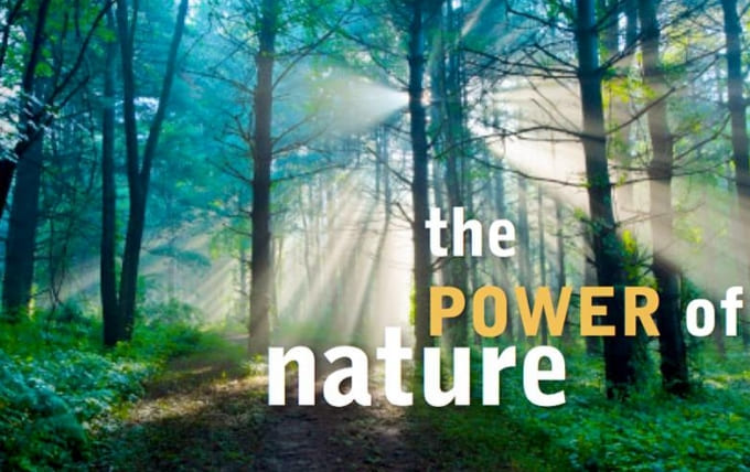  병원에 의지하지 않는 건강관리법...자연 치유력 The Healing Power of Nature