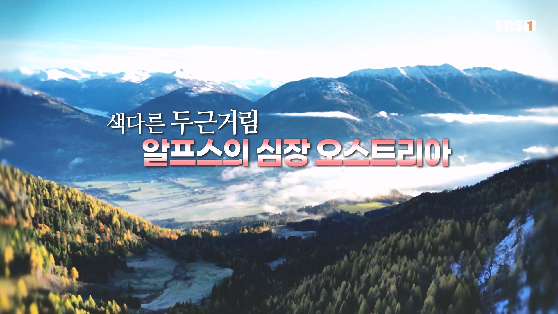세계테마기행 231214 알프스의 심장 오스트리아 -달콤한 도시, 브레겐츠·빈0p.mp4_20231231_172654.646.jpg