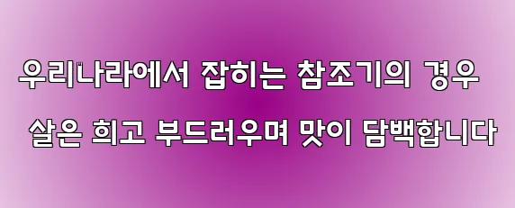 우리나라에서 잡히는 참조기의 경우 살은 희고 부드러우며 맛이 담백합니다