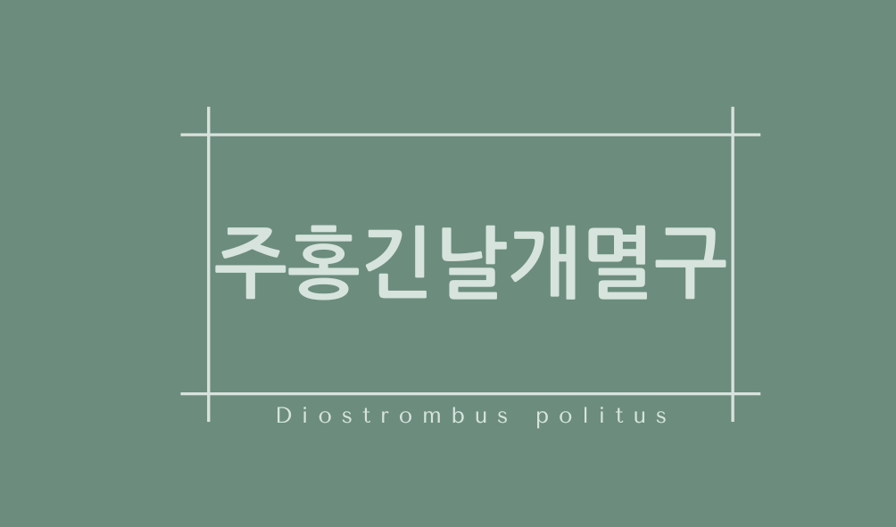 주홍긴날개멸구(Diostrombus politus)