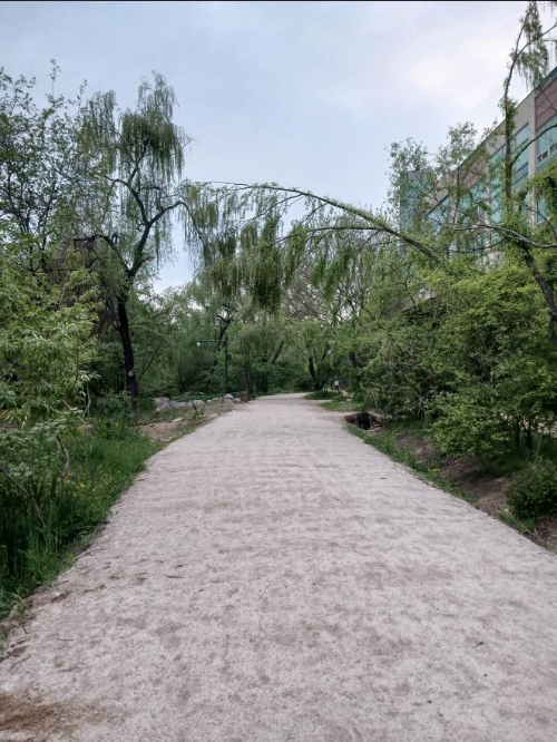 Entrance of Yeouido Saetgang Ecological Park with a soft dirt path for barefoot walking-여의도 샛강 생태공원 입구, 부드러운 흙길 맨발 걷기 코스