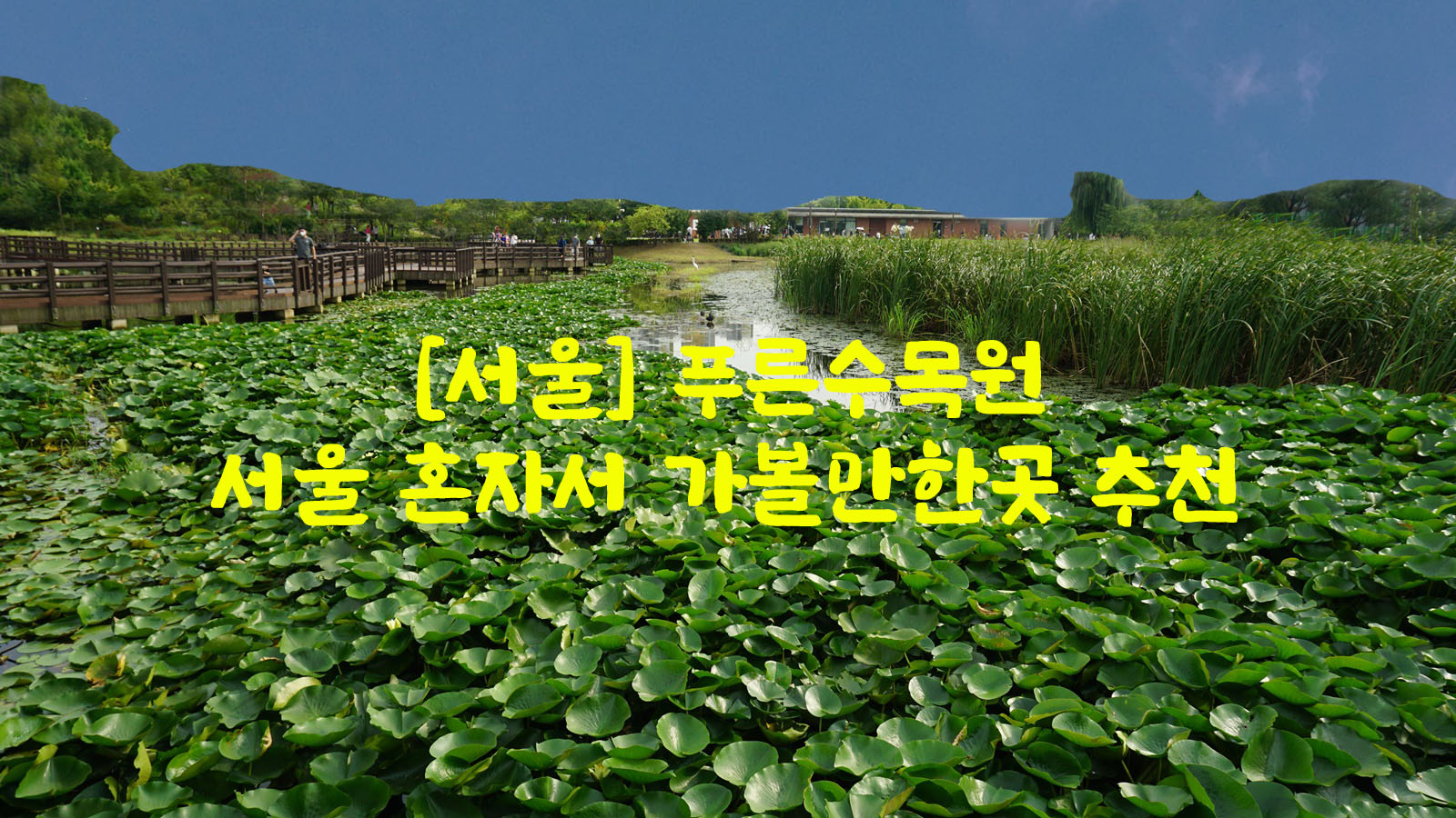  [서울] 푸른수목원…서울 혼자서 가볼만한곳 추천