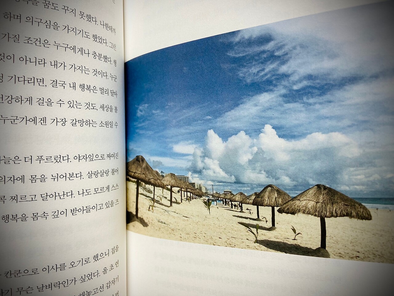 구스타 이미지