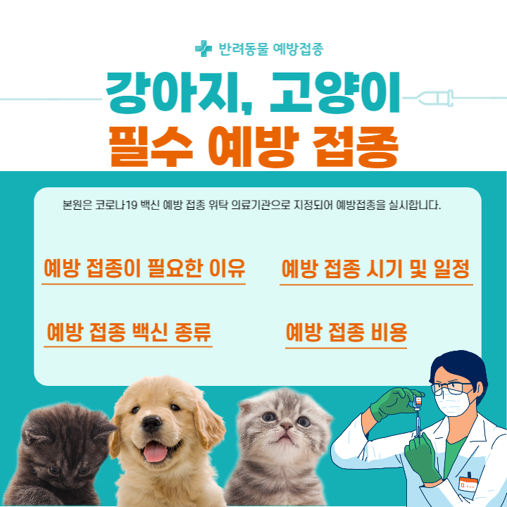 강아지&#44; 고양이 예방 접종 필요이유&#44; 접종 시기 및 일정&#44; 백신종류&#44; 예방 접종 비용등