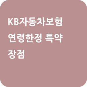 KB자동차보험 연령한정 특약 장점