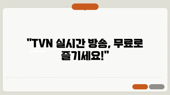 TVN 무료 실시간 방송