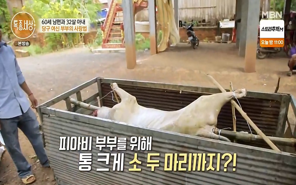 현장르포 특종세상.E528.220429p-NEXT.mp4_20220429_191647.542.jpg