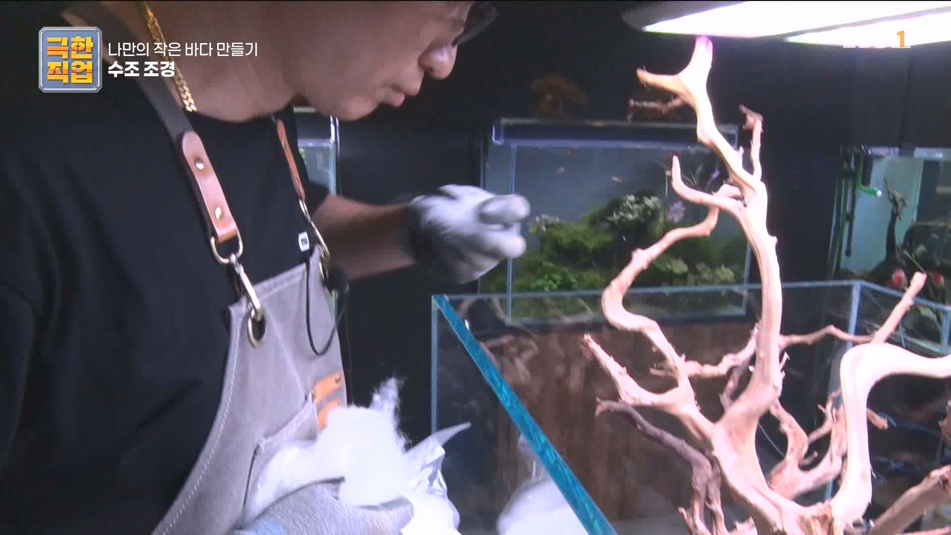[극한 직업] 수조 조경.mp4_20230822_204226.836.jpg