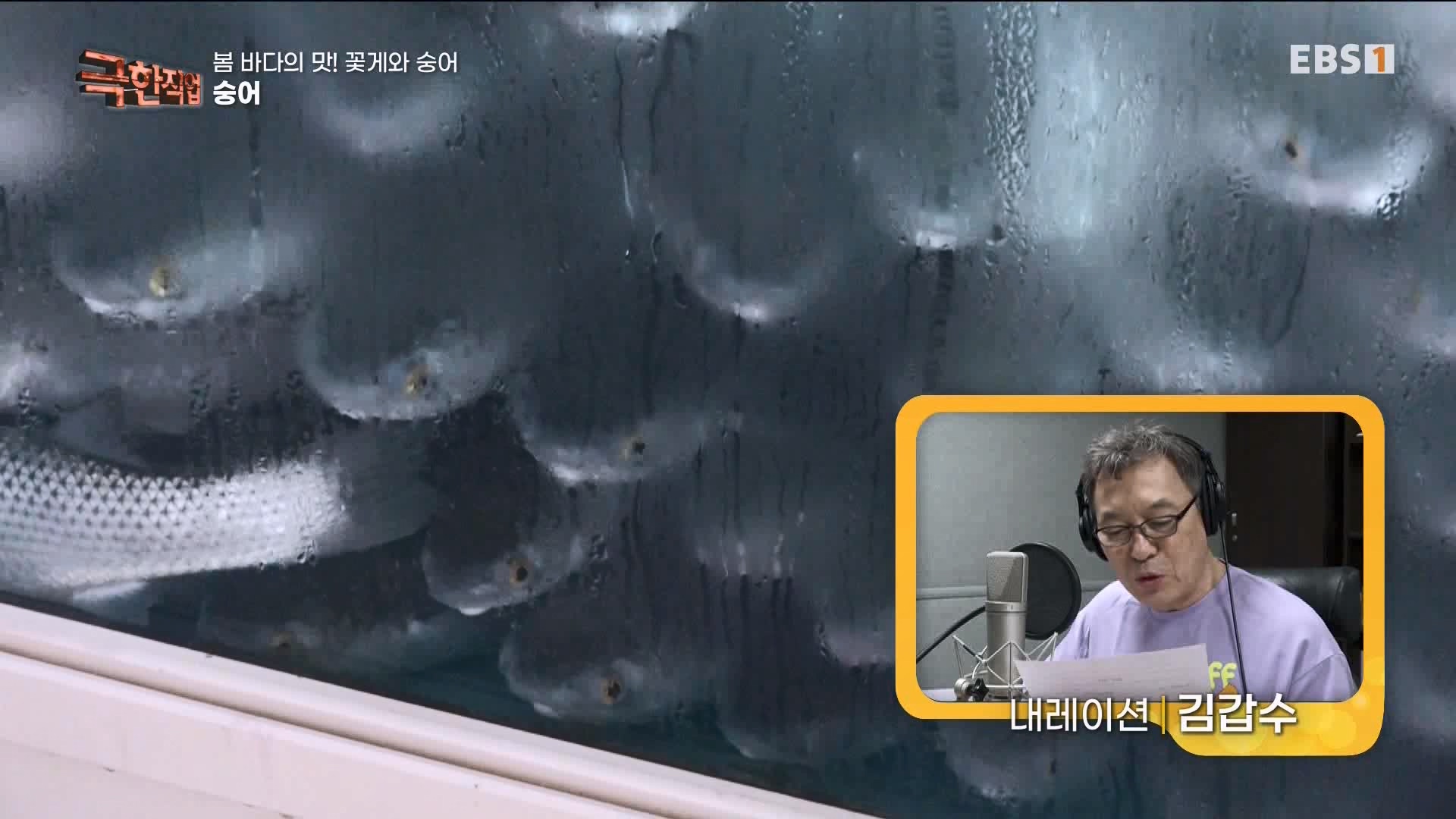 극한 직업 꽃게와 숭어 1080p.mp4_20230530_194648.283.jpg