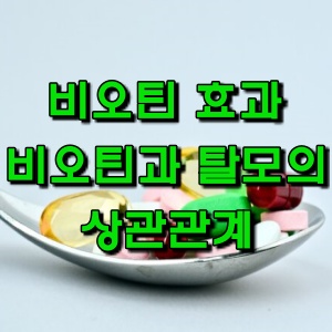 비오틴 영양제, 탈모인을 위한 비오틴 효과가 있을까??