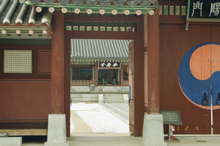 중고 펜탁스 SF7 자동차 필름 카메라 이야기. 결과는 9개월만에 나왔다. 8