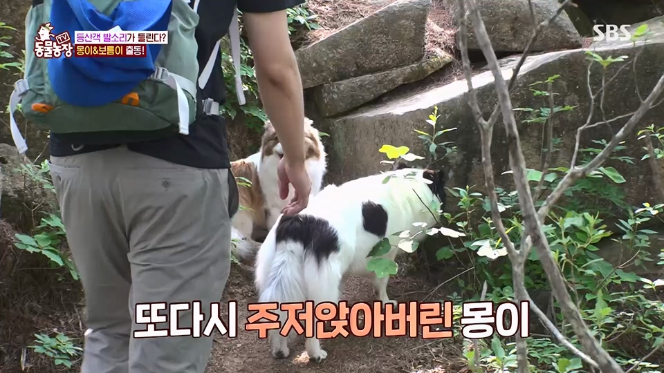 TV 동물농장.E1128.230709p.H264-F1RST.mp4_20230709_183519.770.jpg