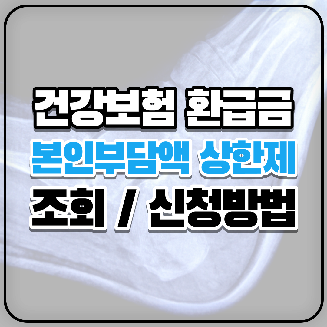 건강보험환급금