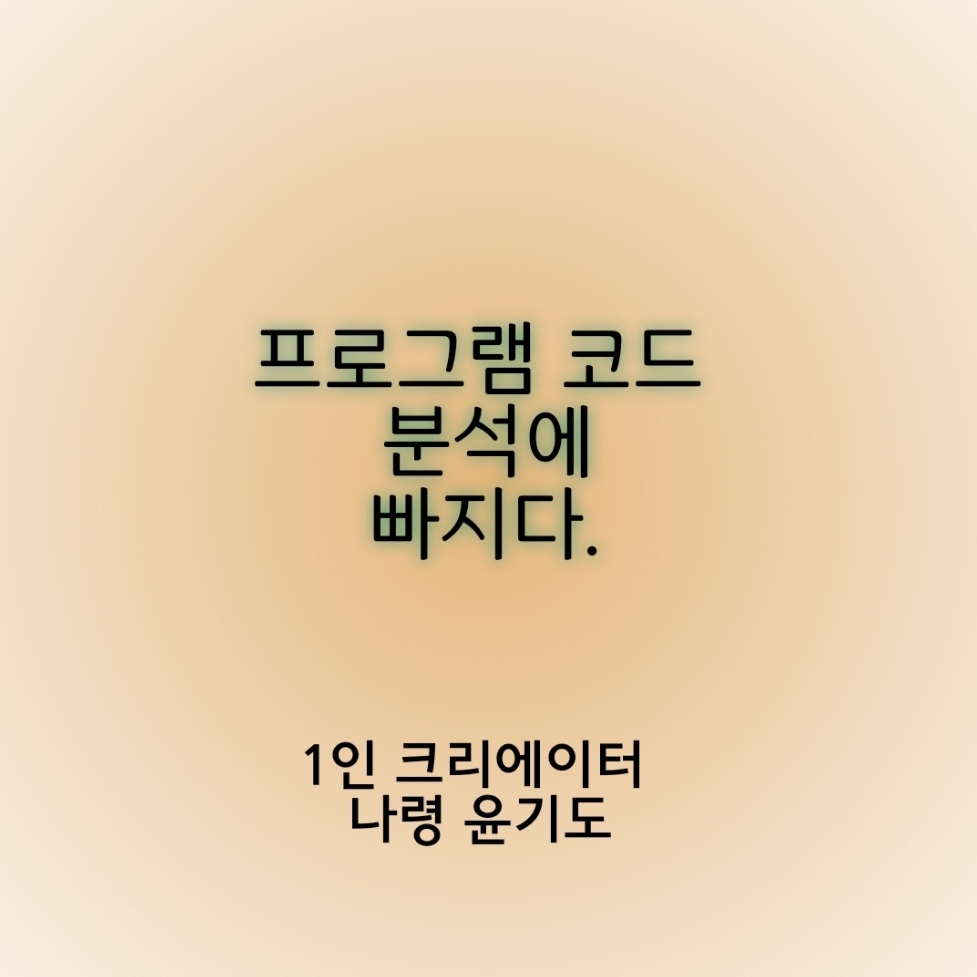  프로그램 코드분석에 빠지다. - 1장