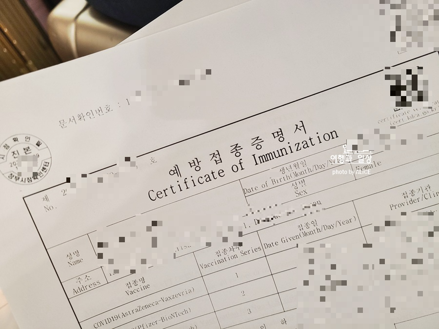 일본 입국 서류 비짓재팬 쿠브 캡쳐화면 통과 + 백신접종증명서 출력해야하나?