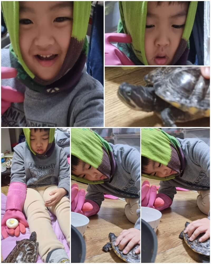  거북아! 거북아! 계란줄게. 새집다오.
