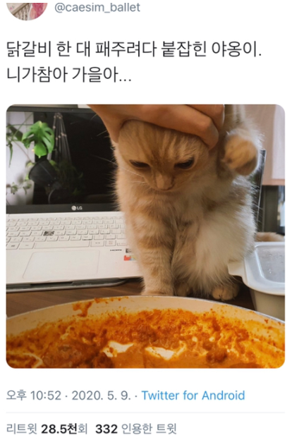  니가 참아 가을아...