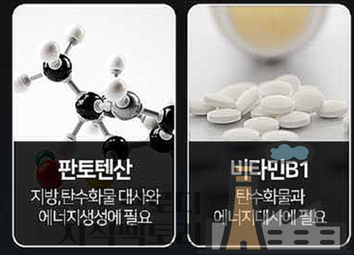 브이맥스 울트라 효능 가격