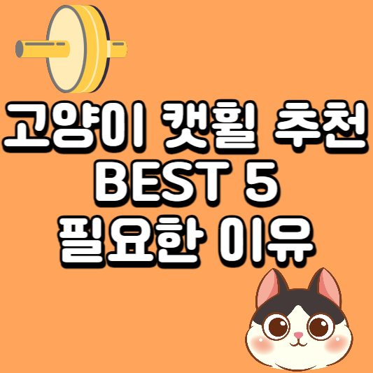 고양이-캣휠-추천
고양이-캣휠
캣휠-추천
고양이-운동
고양이-다이어트