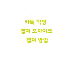  카톡 익명 캡쳐 모자이크 캡쳐 방법