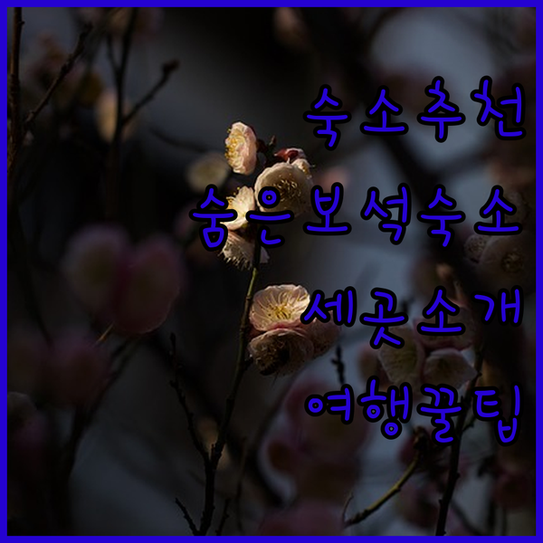 苏州 여행 숙소 고민? 숨겨진 보석 
