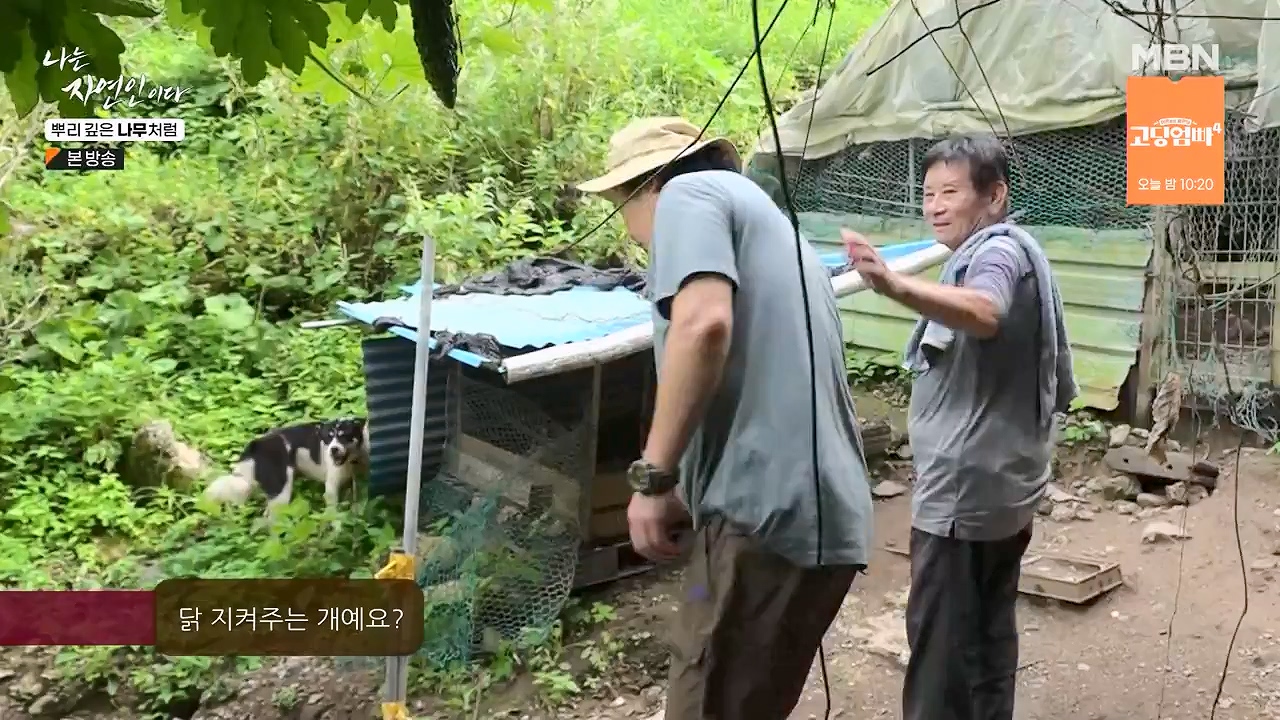 나는 자연인이다.E571.230914p-NEXT.mp4_20230914_202156.610.jpg