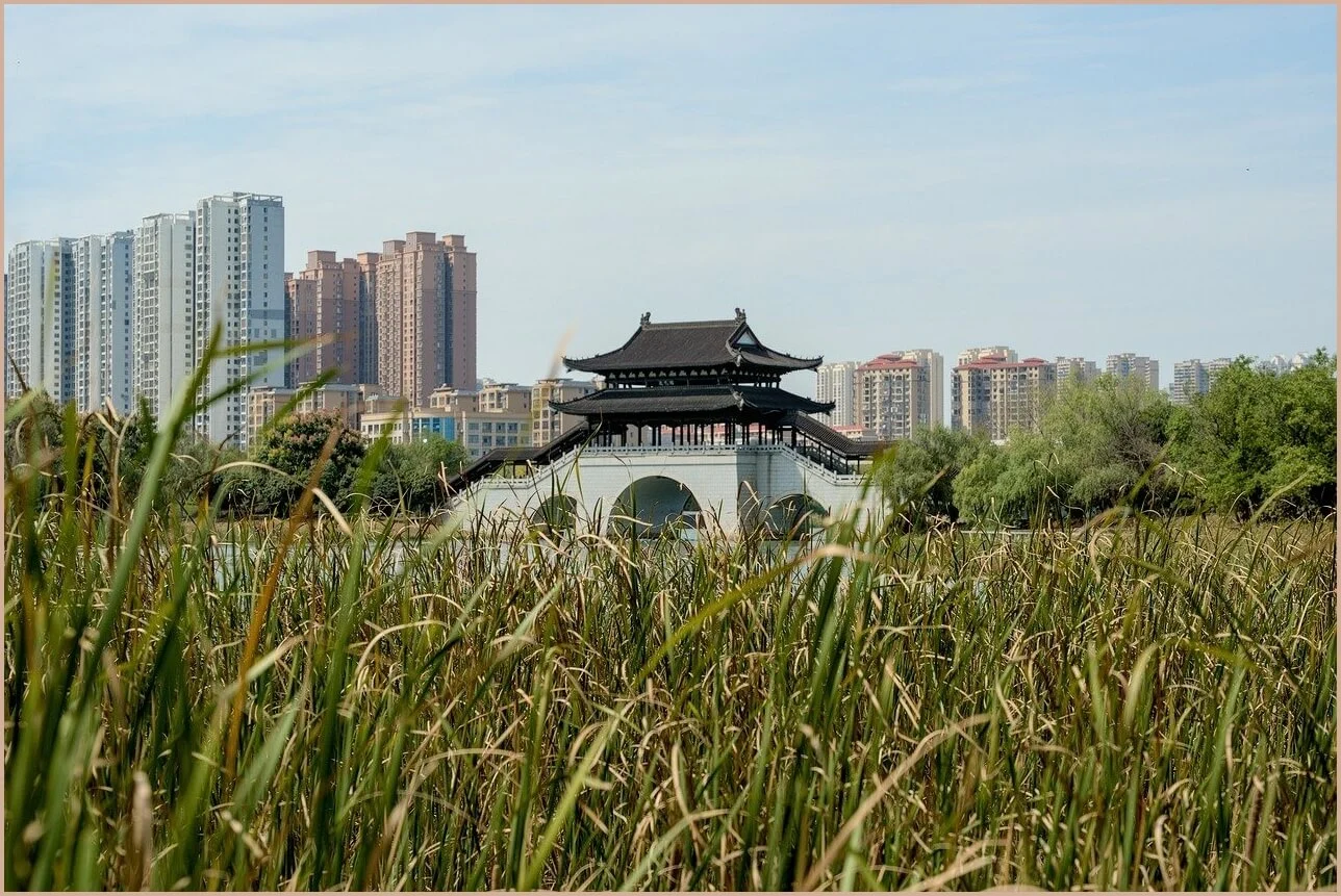 챗 gpt 오류