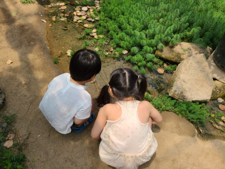 서울 근교 아이와 갈만한곳 [서울근교 갈만한곳] 남양주 산들소리수목원 12