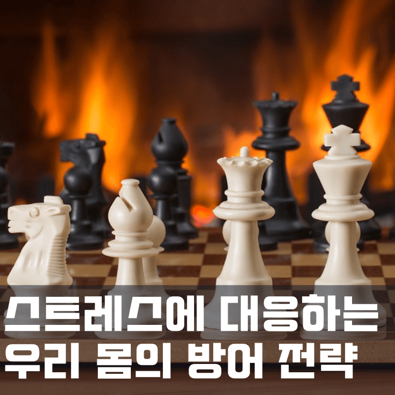 스트레스에 대응하는 우리 몸의 방어 전략