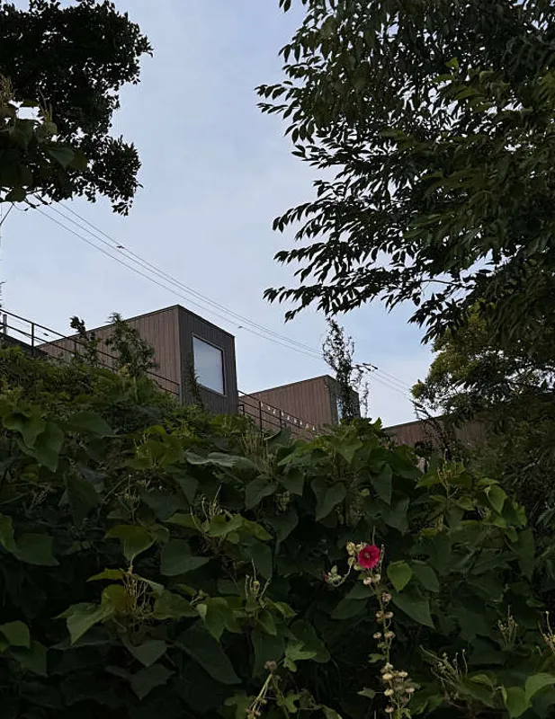 주목스테이